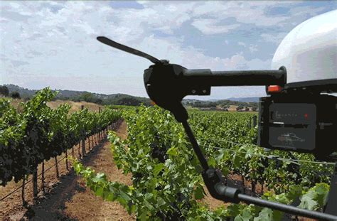 Are Flying Vineyard Drones Creating Better Wine Wine Enthusiast