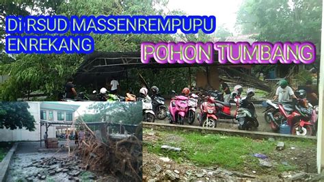 Peristiwa TUMBANGNYA POHON DI RSUD MASSENREMPULU ENREKANG YouTube