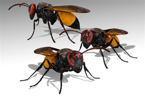 hornet characters unity asset store