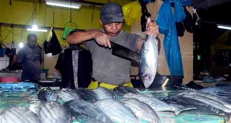 Cuaca Buruk Harga Ikan Di Ternate Melonjak Haliyora Id