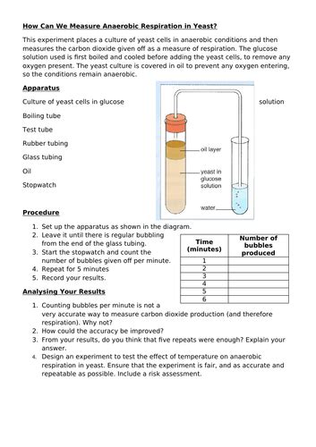 Anaerobic Respiration In Yeast Experiment