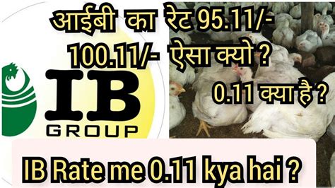 आईबी ग्रुप का रेट 9011 9511 ऐसा क्यो Ib Group Broiler Rate 011