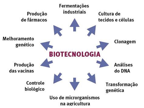 O Que A Biotecnologia Estuda - 7