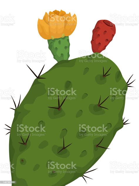 Closeup View Of A Nopal With Flower And Fruit Vector Illustration Stock