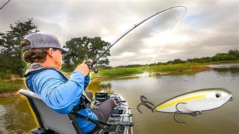 These Fish Destroyed My Topwater In The Kayak Early Fall Fishing Tips