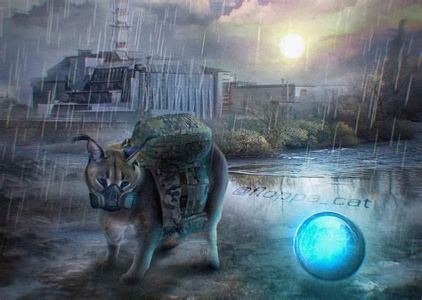 S.T.A.L.K.E.R. Floppa (Source: vk.com/floppa_cat) : r/stalker