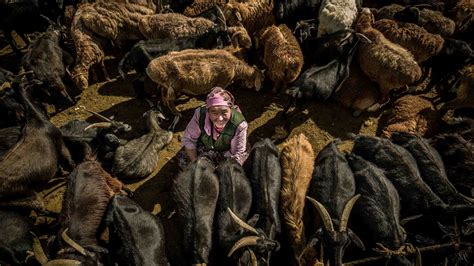 Photos: Inside the lives of Mongolia's nomads | Adventure.com