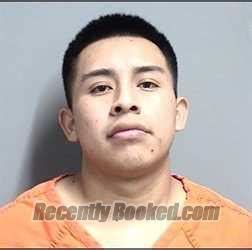 Recent Booking Mugshot For Domingo Pu De Leon In Dallas County Iowa