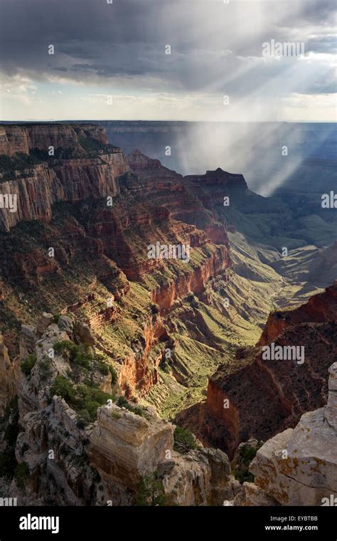 Grand Canyon National Park North Rim Arizona Stock Photo Alamy