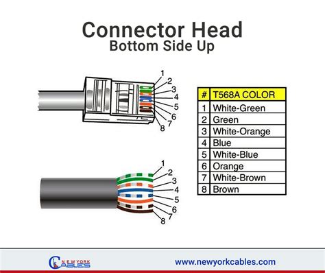 Cat 6 Wire Schematic - wiring diagram db