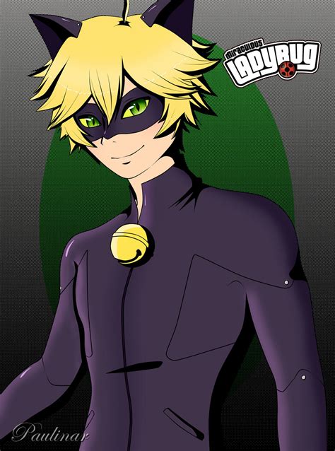 Miraculous Chat Noir By Carolina123hey On Deviantart