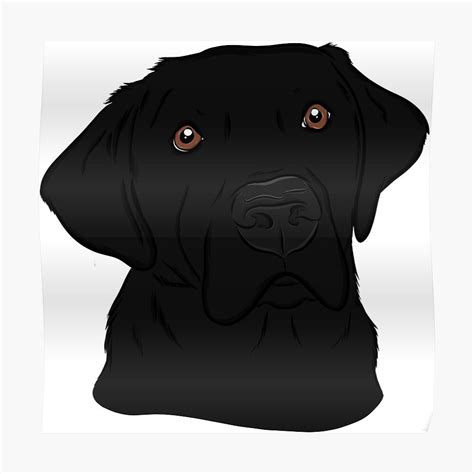 Handsome Black Labrador Retriever Sticker By Rmcbuckeye Black