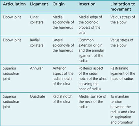 elbow joint | Musculoskeletal Key