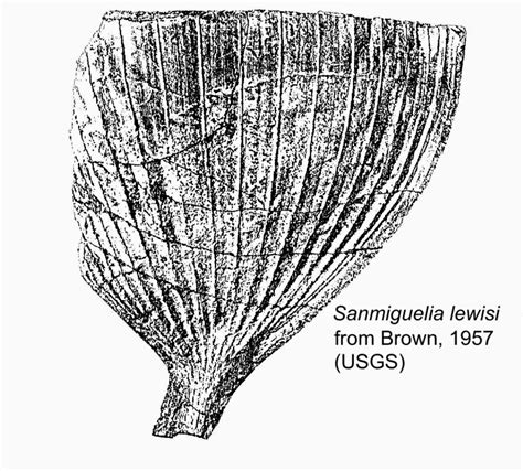 History of the Earth: September 22. Triassic plants