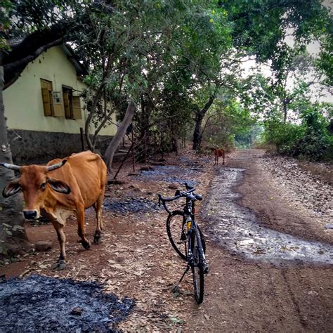 Cycling Ride in Borivali National Park (SGNP)