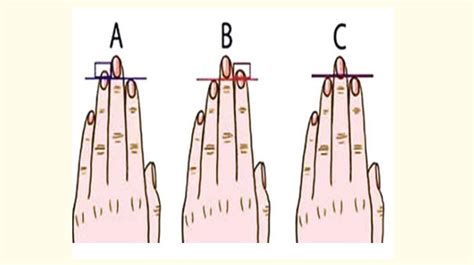 Quiz: Here's What Your Finger Length Reveals About Your Personality ...