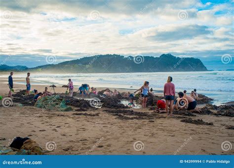 Isla Del Norte Nuevo Selandia De Mayo De Los Turistas Que