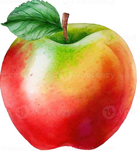 Red Apple Watercolor Illustration 21183276 PNG