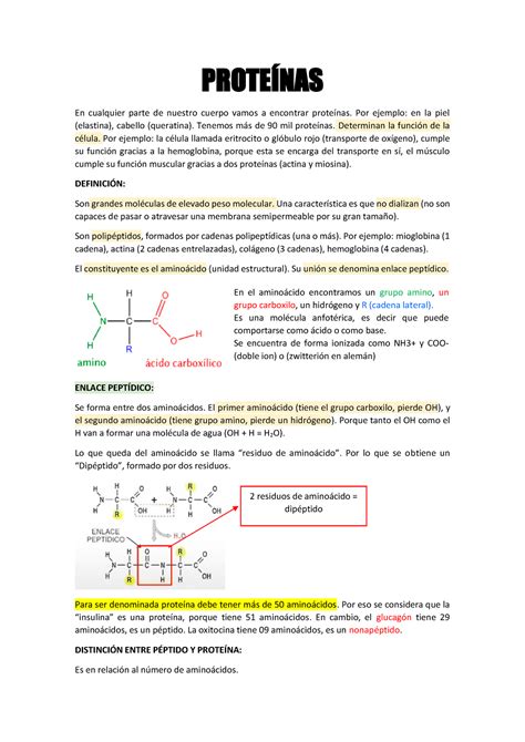 Resumen Proteinas Y Enzimas PROTEÕNAS En cualquier parte de nuestro