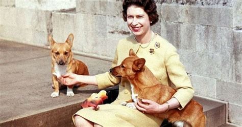 All Of Queen Elizabeth's Corgis Are Dead, Ends Royal Legacy