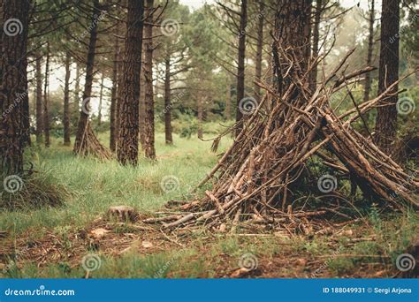 Survival Hut Made of Branches Stock Image - Image of shelter, skill ...