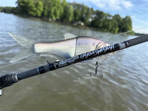 Best Swimbait Rods of 2025, Tested and Reviewed | Outdoor Life