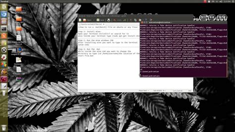 How To Run Bat Batch Files On Linux Ubuntu YouTube