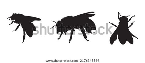 Flowers Bee Silhouette Photos, Images & Pictures | Shutterstock