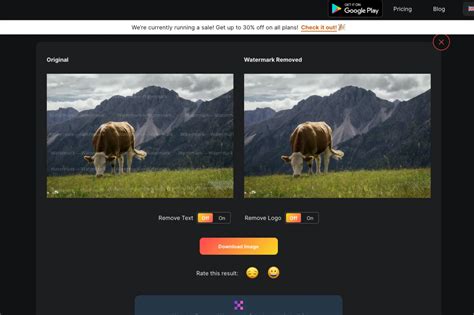 Remove a Watermark from a Photo with an Online Tool 
