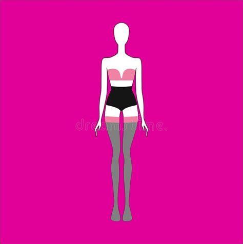 Panties Bra Stockings Lingerie Lingerie Set Drawn Stock Illustration Illustration Of