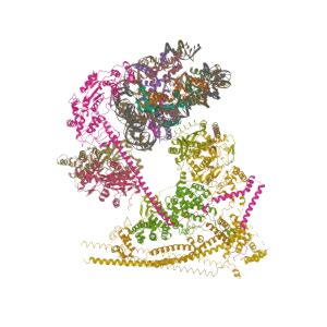 DPF2 Gene - GeneCards | REQU Protein | REQU Antibody