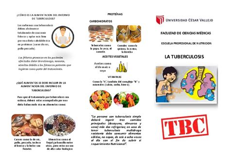 Triptico Alimentación TBC Nutrición Studocu