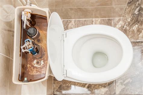 Overflowing Toilet
