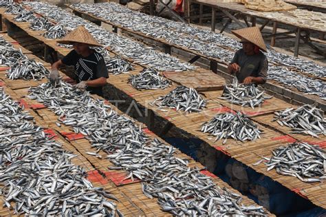 Target Kebijakan Penangkapan Ikan Terukur Antara Foto