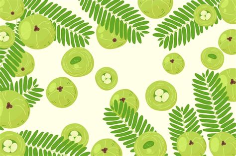 Free Vector | Hand drawn amla fruit background illustrated