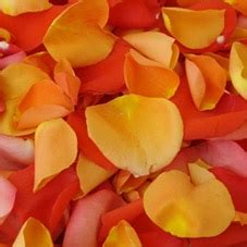 Orange Rose Petal Bag - Florabundance Wholesale Flowers