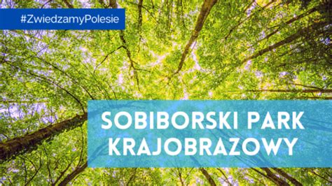 Sobiborski Park Krajobrazowy Atrakcje Szlaki Noclegi