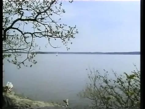 Svenska Folkets Sexvanor Retro Porn Feat Rifka Lodeizen XHamster