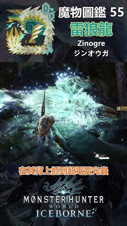 魔物圖鑑 55 雷狼龍 Mhw 魔物獵人 魔物獵人世界 魔物獵人世界冰原 Youtube