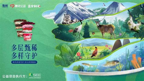 甄稀助力三江并流区生物多样性保护，以“多层”之名守护多样生态中华网