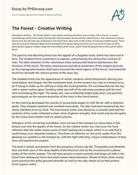 The Forest Creative Writing Essay Example 500 Words PHDessay