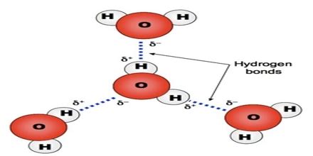 Hydrogen Bonding Diagram