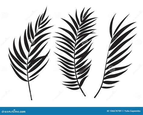 Silhouette Of A Palm Vector Illustration | CartoonDealer.com #32555720