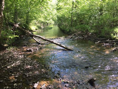 Hot Springs Village Inside Out