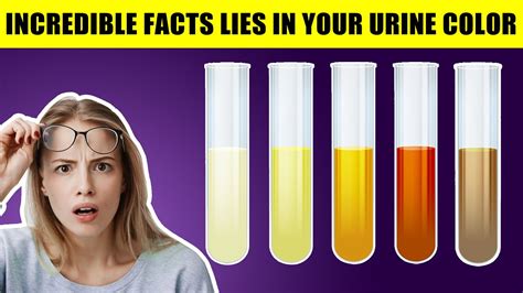 What Does It Mean When Urine Is Straw Color The Meaning Of Color