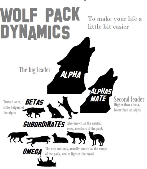 alpha wolf pack