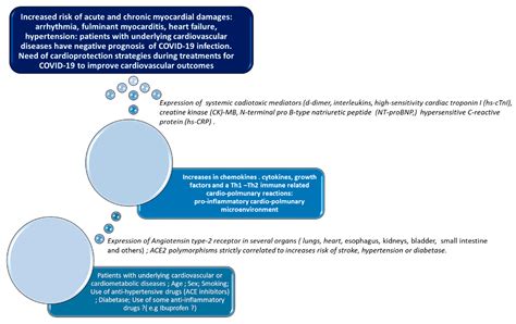 Cancers Free Full Text Sars Cov 2 Infection And Cardioncology From