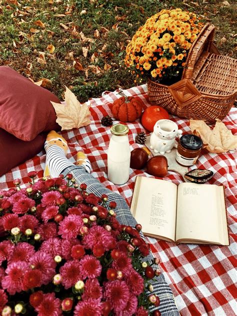 Autumn | Fall picnic, Picnic, Autumn family photography