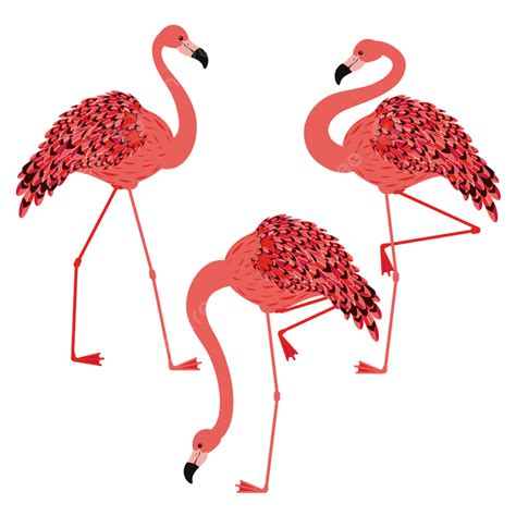 Summer Pink Flamingo Vector Design Images Cute Cartoon Pink Flamingo