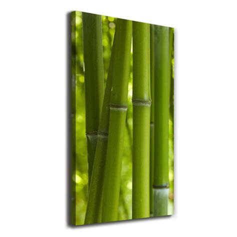 Sansibar Home Bamboo Forest Kunstdrucke Auf Leinwand Wayfair De